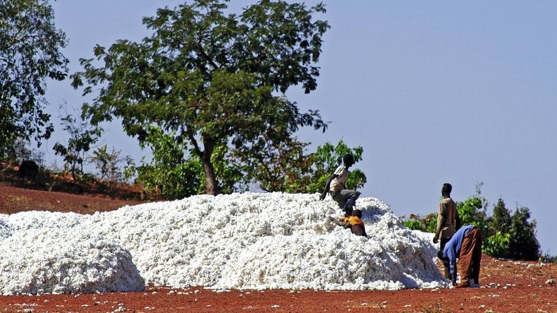 Burkina Faso opens $30m textile facility to cut clothing imports